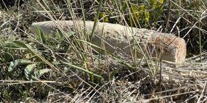 Ankara&rsquo;da vatandaş mantar ararken patlamamış top mermisi buldu