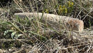 Ankara&rsquo;da vatandaş mantar ararken patlamamış top mermisi buldu