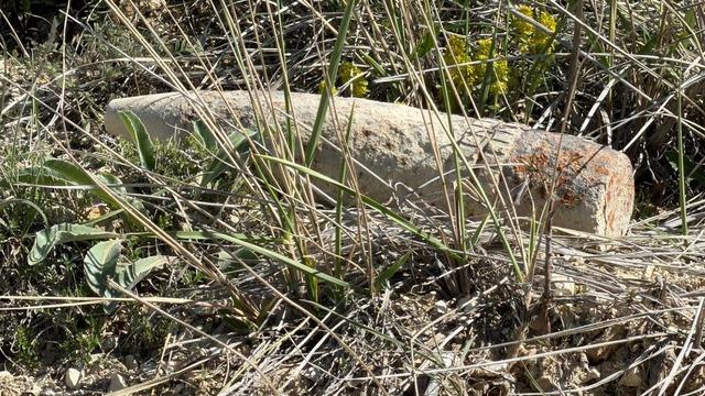 Yer: Ankara! Mantar ararken patlamamış top mermisi buldu: Bırakıp kaçtım