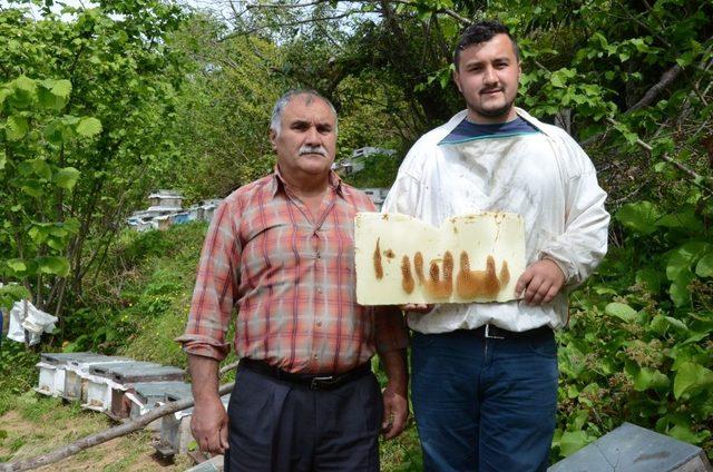 Arıların yazdığı ’Allah’ lafzı şaşırtıyor