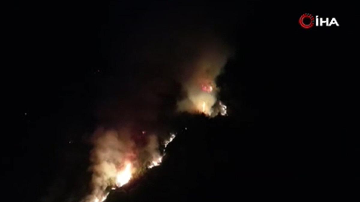 Beykoz da orman yangını: M&uuml;dahale devam ediyor 1