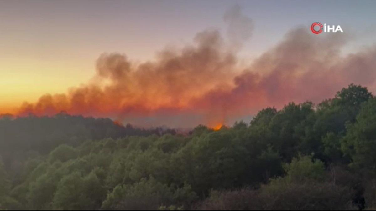 Beykoz da orman yangını: M&uuml;dahale devam ediyor 2