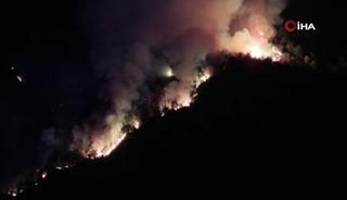 Beykoz'da orman yangını: M&uuml;dahale devam ediyor