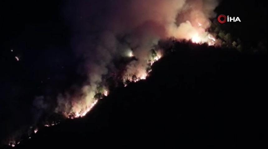 Beykoz'da orman yangını: M&uuml;dahale devam ediyor