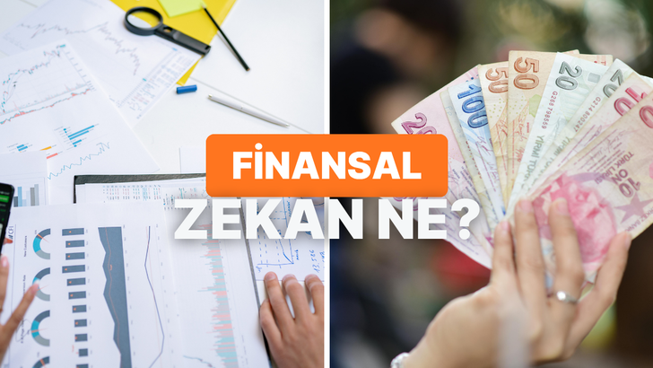 Hangi Finansal Zeka T&uuml;r&uuml;ne Sahipsin? 