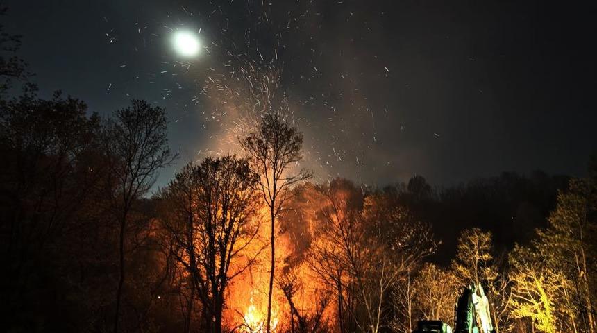 Beykoz'daki orman yangını! 9 saatte kontrol altına alındı