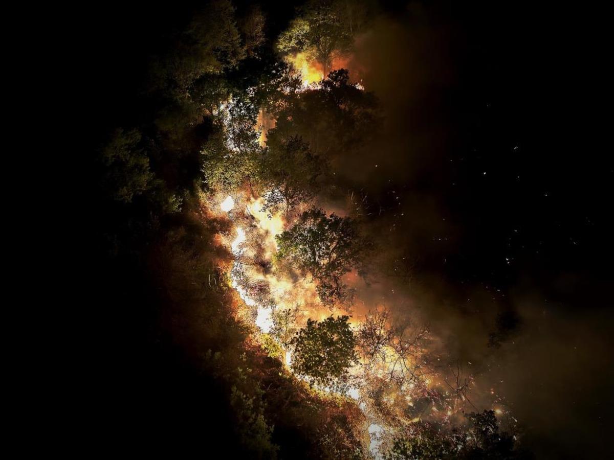 Beykoz daki orman yangını! 9 saatte kontrol altına alındı 1