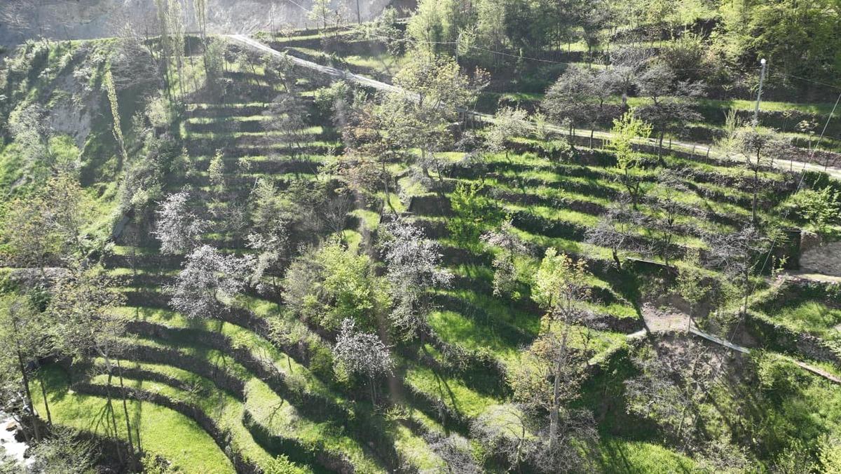 2 d&ouml;n&uuml;ml&uuml;k arazi 8 d&ouml;n&uuml;ml&uuml;k verimli tarım alanına d&ouml;n&uuml;şt&uuml; 1