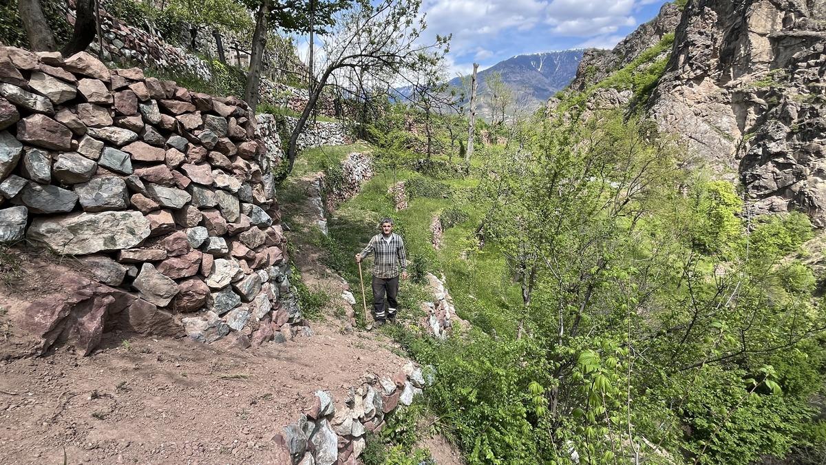 2 d&ouml;n&uuml;ml&uuml;k arazi 8 d&ouml;n&uuml;ml&uuml;k verimli tarım alanına d&ouml;n&uuml;şt&uuml; 5