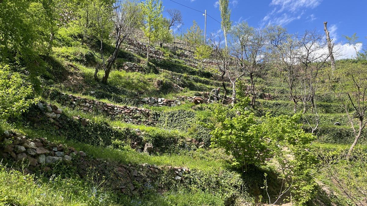 2 d&ouml;n&uuml;ml&uuml;k arazi 8 d&ouml;n&uuml;ml&uuml;k verimli tarım alanına d&ouml;n&uuml;şt&uuml; 9