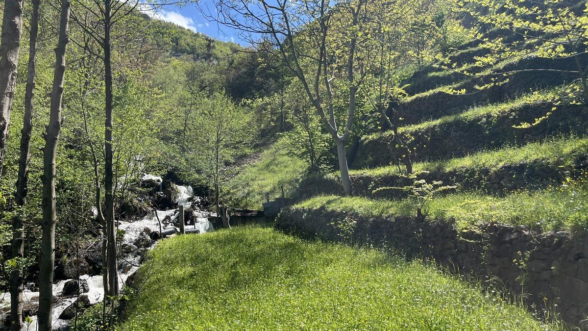 2 d&ouml;n&uuml;ml&uuml;k arazi 8 d&ouml;n&uuml;ml&uuml;k verimli tarım alanına d&ouml;n&uuml;şt&uuml; 3