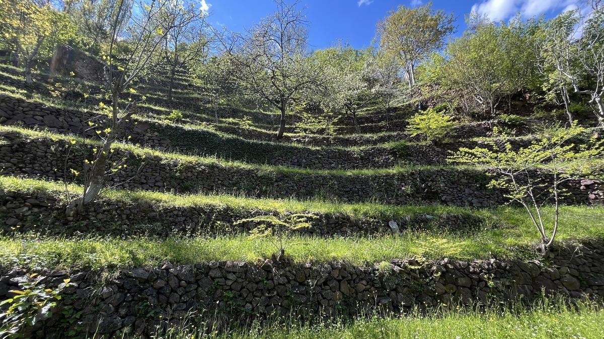 2 d&ouml;n&uuml;ml&uuml;k arazi 8 d&ouml;n&uuml;ml&uuml;k verimli tarım alanına d&ouml;n&uuml;şt&uuml; 10