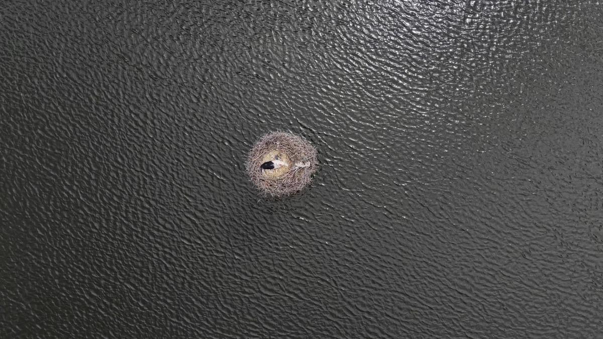 Yer: Diyarbakır... Baraj kapakları a&ccedil;ıldı: 10 ev sulara teslim! 6