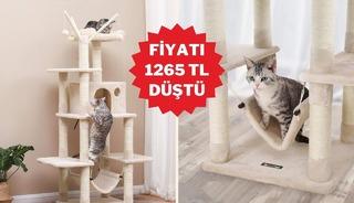 Kedinizin yeni favori k&ouml;şesi tırmalama ağacında indirim başladı!