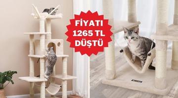 Kedinizin yeni favori k&ouml;şesi tırmalama ağacında indirim başladı!