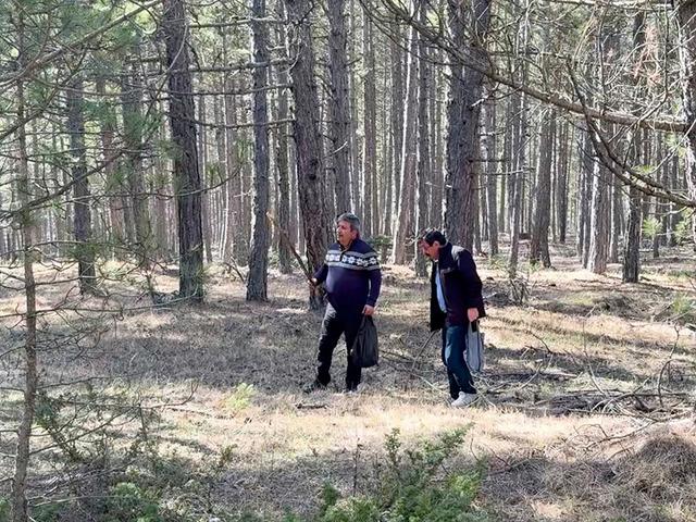 Bolluk oldu: Kilosu 1500 TL! Toplayıp satmak isteyen akın ediyor