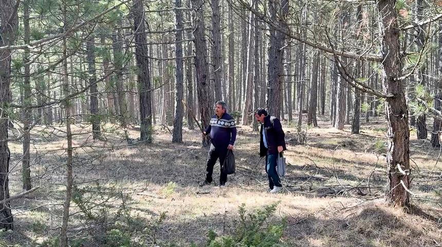 Bolluk oldu: Kilosu 1500 TL! Toplayıp satmak isteyen akın ediyor