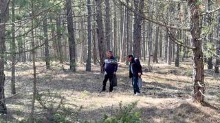 Bolluk oldu: Kilosu 1500 TL! Toplayıp satmak isteyen akın ediyor