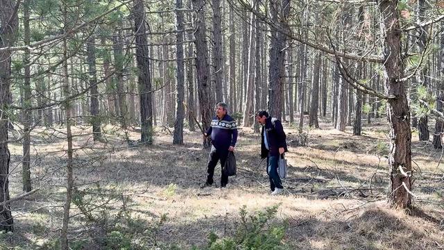 Bolluk oldu: Kilosu 1500 TL! Toplayıp satmak isteyen akın ediyor