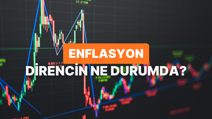 Enflasyon Karşısında Ne Kadar Diren&ccedil;lisin?