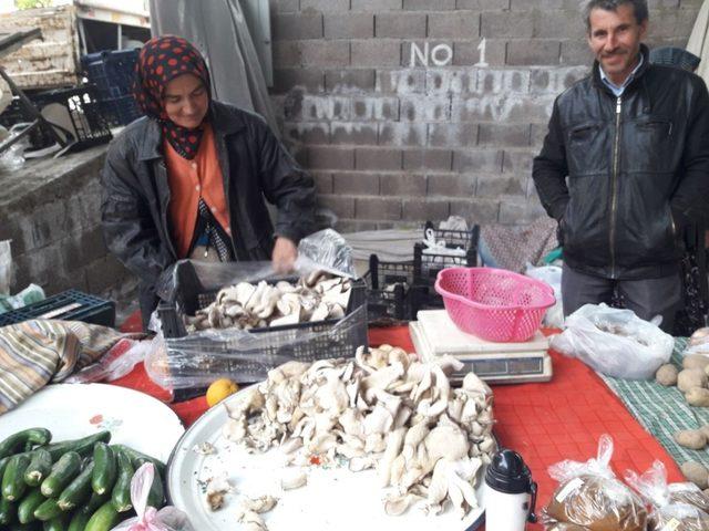 TKDK’dan aldığı destekle ürettiği mantarları pazarda satıyor