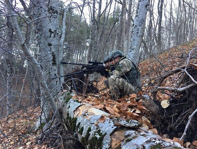 Amanoslar'da PKK'ya büyük darbe