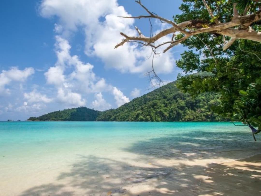 D&uuml;nyanın saklı kalmış en g&uuml;zel koyları a&ccedil;ıklandı! İşte T&uuml;rkiye'deki o yer...