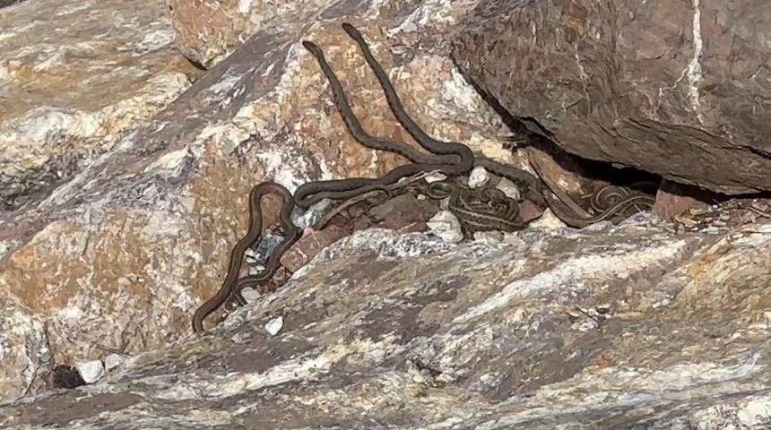 G&ouml;ren Brezilya zannediyor ama T&uuml;rkiye'de bir yer! 'Yılan Adası'nı andırıyor'