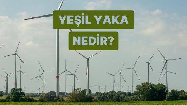 Mavi Yaka Ve Beyaz Yaka Dışında Ortaya Çıkan Yeni Nesil “Yeşil Yaka” Nedir? 