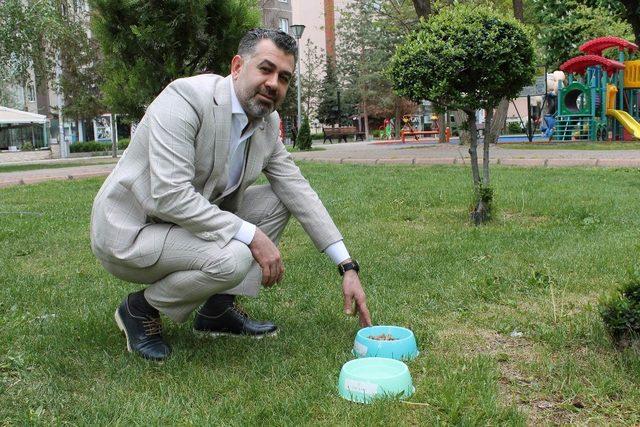 Sedat Kılınç İnşaat AŞ sokak hayvanlarını sahipsiz bırakmadı