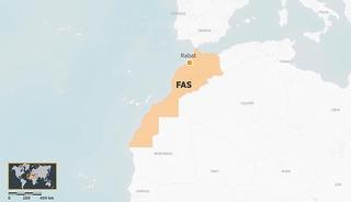 Fas'ta "Afrika Aslanı-2026" tatbikatı başladı