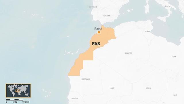 Fas'ta Afrika Aslanı-2026 tatbikatı başladı