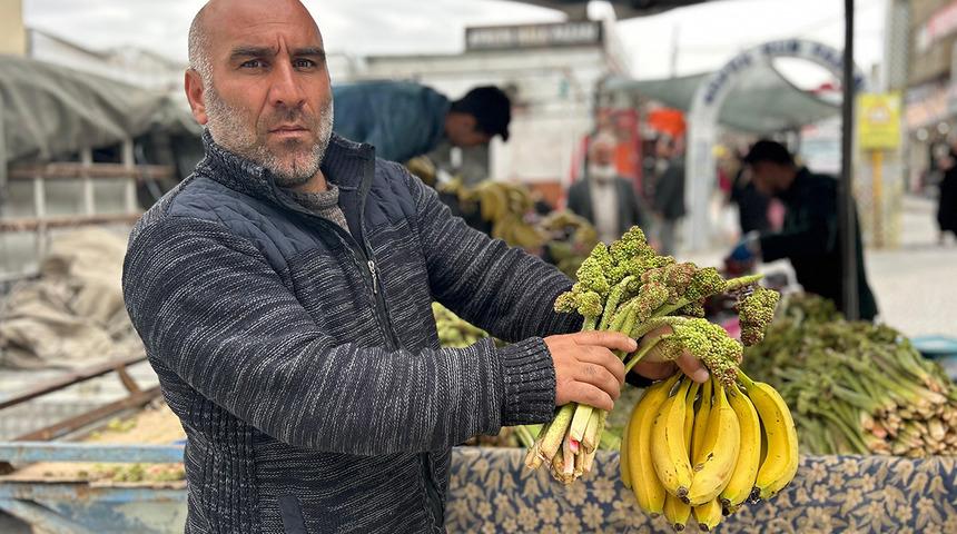 'Her g&uuml;n yiyemiyorsunuz, senede bir &ccedil;ıkıyor' Kilosu 400 TL