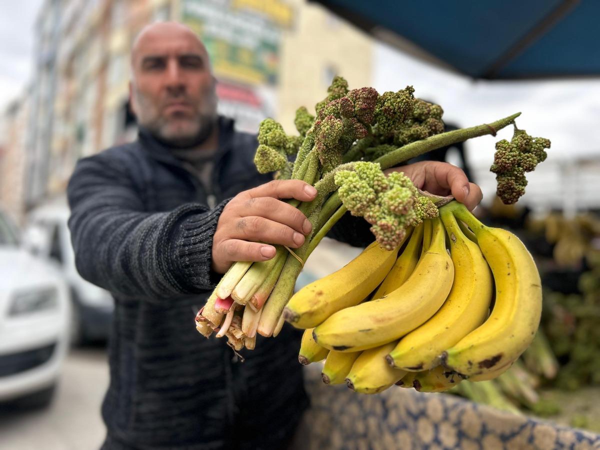  Her g&uuml;n yiyemiyorsunuz, senede bir &ccedil;ıkıyor  Kilosu 400 TL 1