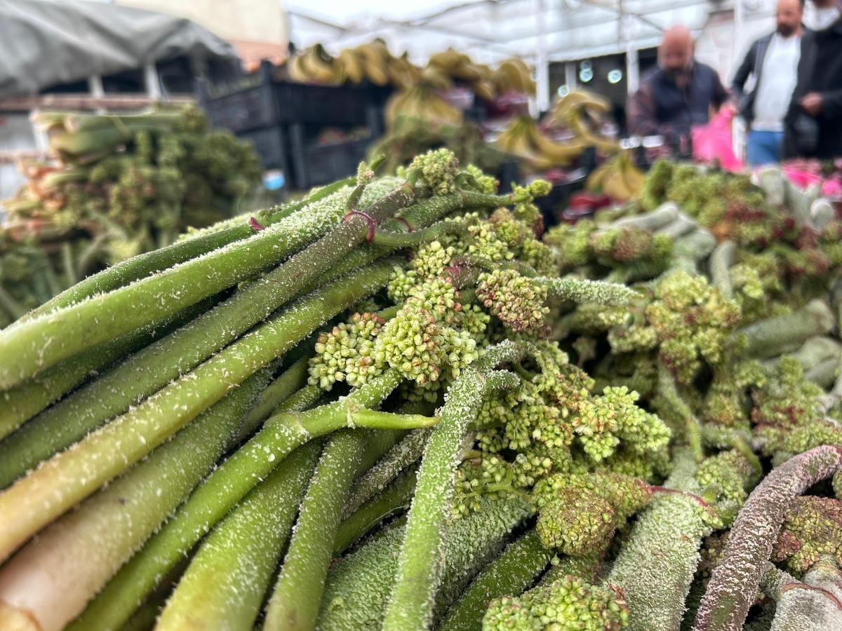  Her g&uuml;n yiyemiyorsunuz, senede bir &ccedil;ıkıyor  Kilosu 400 TL 2