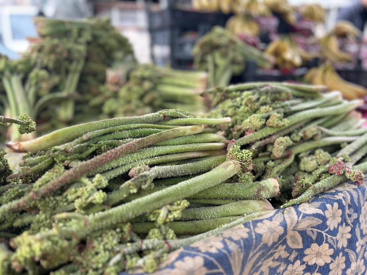  Her g&uuml;n yiyemiyorsunuz, senede bir &ccedil;ıkıyor  Kilosu 400 TL 3