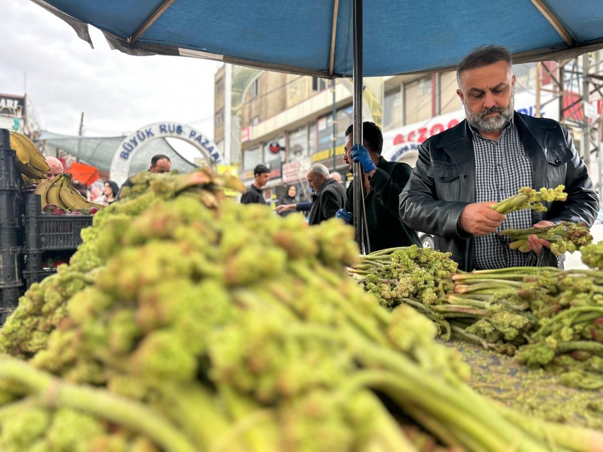  Her g&uuml;n yiyemiyorsunuz, senede bir &ccedil;ıkıyor  Kilosu 400 TL 6