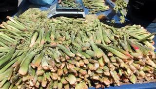 3 bin metrede yetişiyor! Mide ağrısını bı&ccedil;ak gibi kesiyor