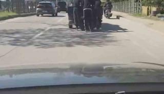 Patenli gen&ccedil;lerin tehlikeli yolculuğu kamerada