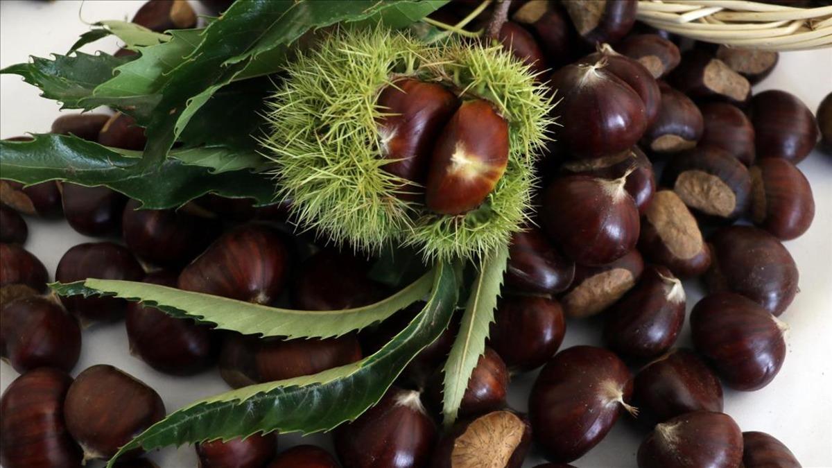 D&uuml;nyanın en iyi 15 kuruyemişi a&ccedil;ıklandı:&nbsp;T&uuml;rkiye&rsquo;den 3 il listede 5