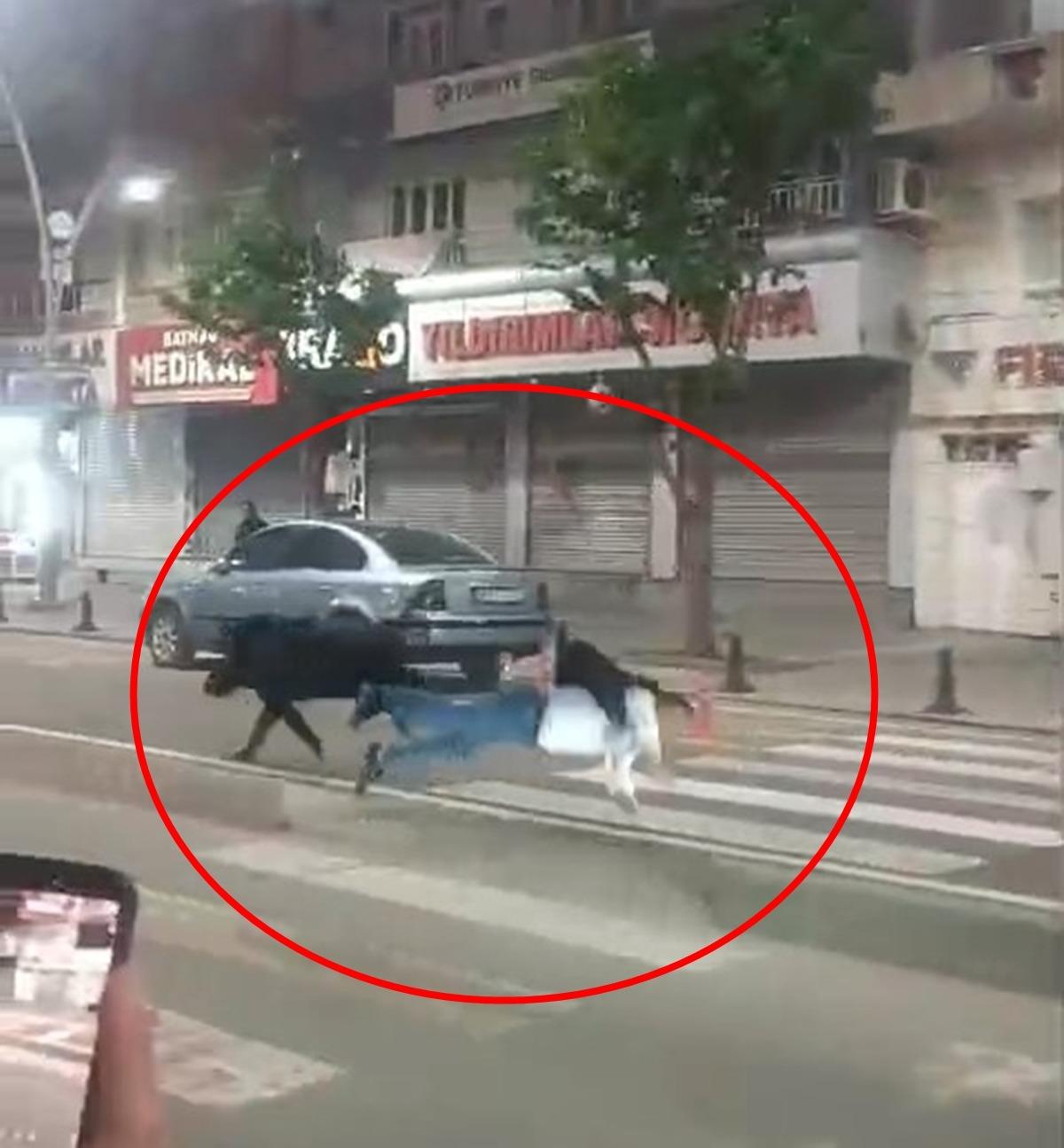 Yaban domuzu şehir merkezine indi: 3 kişiyi yaraladı! O anlar kamerada 6