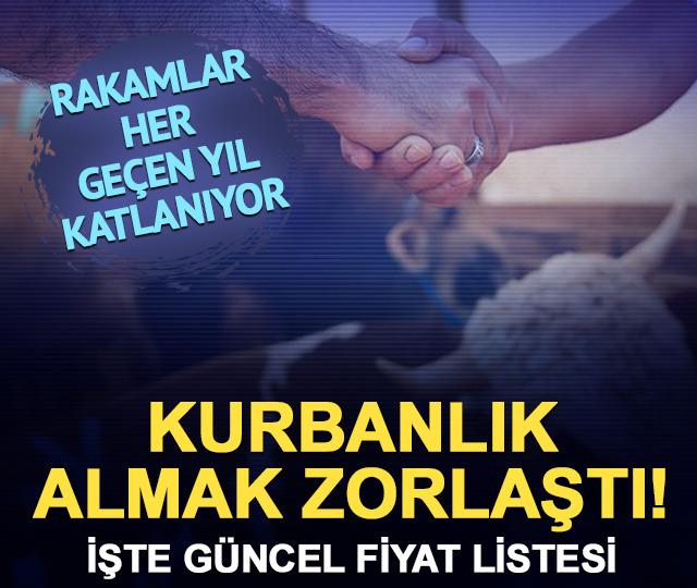 Kurbanlık almak zorlaştı! B&uuml;y&uuml;kbaş 700 bin TL'ye dayandı