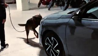 &Ccedil;anakkale&rsquo;de farklı su&ccedil;lardan aranması bulunan 97 kişi yakalandı