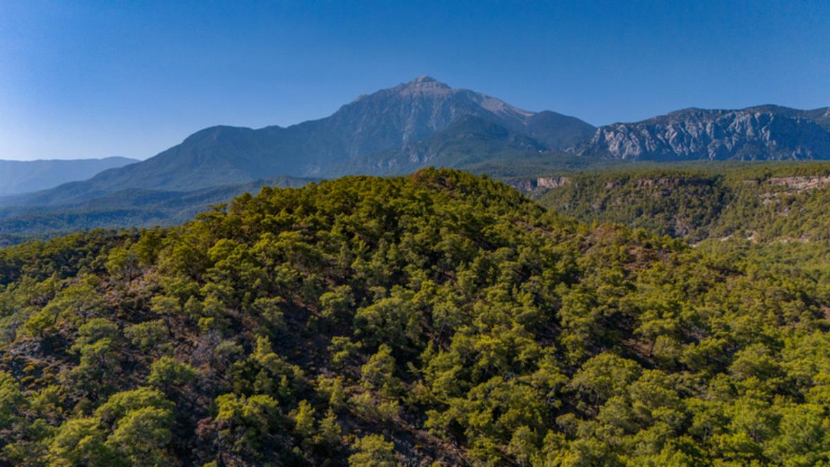 T&uuml;rkiye&rsquo;nin en yeşil illeri belli oldu! Ne Rize ne Trabzon: Liste şaşırttı 4