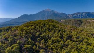 Türkiye’nin en yeşil illeri belli oldu! Ne Rize ne Trabzon: Liste şaşırttı