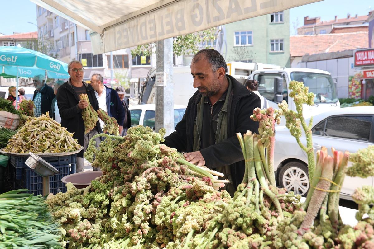 Yılda bir kez &ccedil;ıkar herkes gidip toplayamaz! Kilosu 750 TL 2