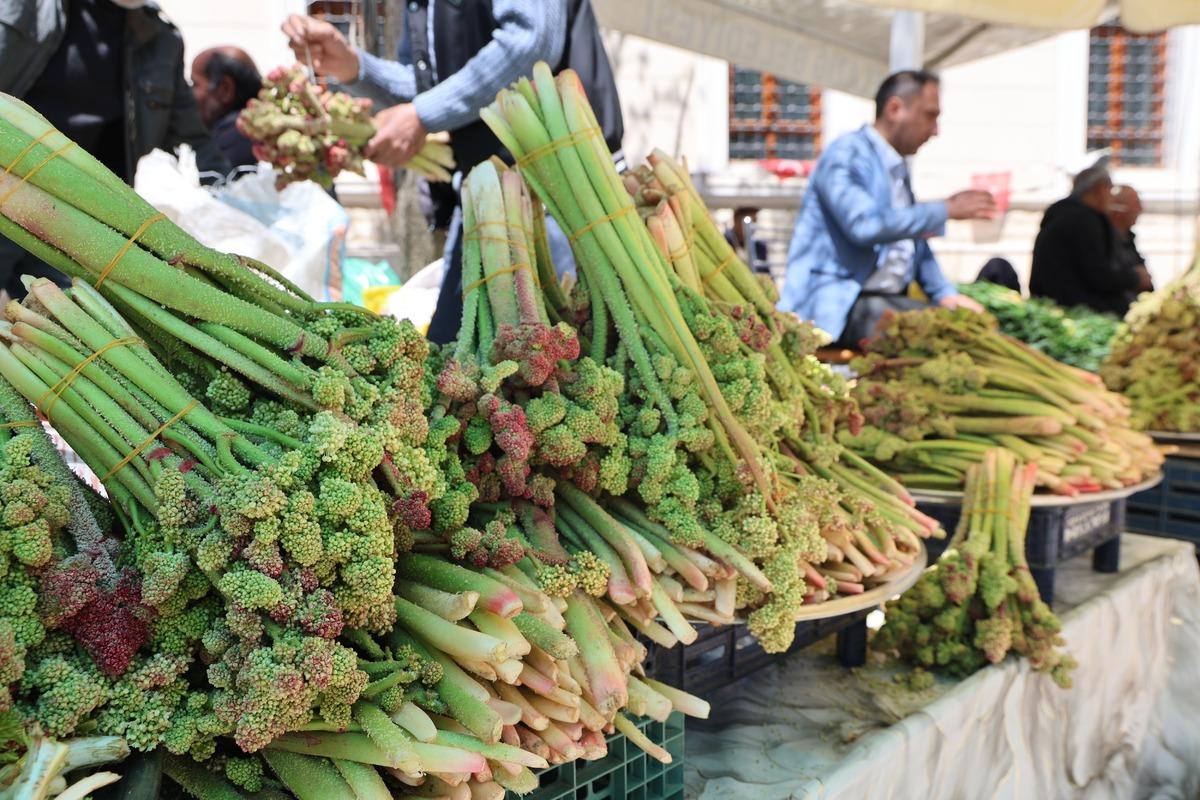 Yılda bir kez &ccedil;ıkar herkes gidip toplayamaz! Kilosu 750 TL 3