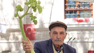 Son dakika: Yılda bir kez &ccedil;ıkar herkes gidip toplayamaz!