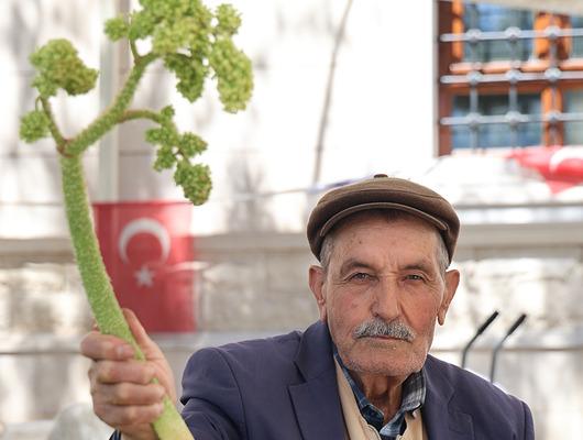 Yılda bir kez &ccedil;ıkar herkes gidip toplayamaz!