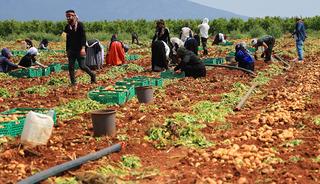 Boyutuna g&ouml;re fiyatı değişiyor